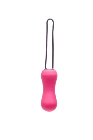 Ami   Fuchsia