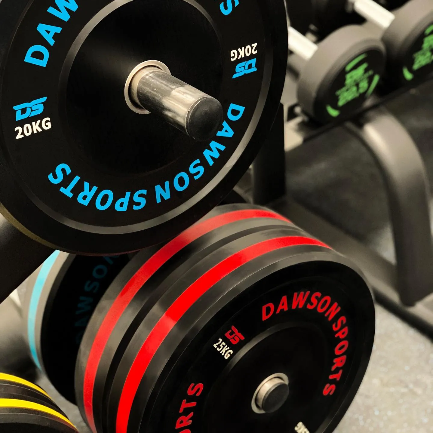 DS Rubber Bumper Plates (w/ upturned ring)