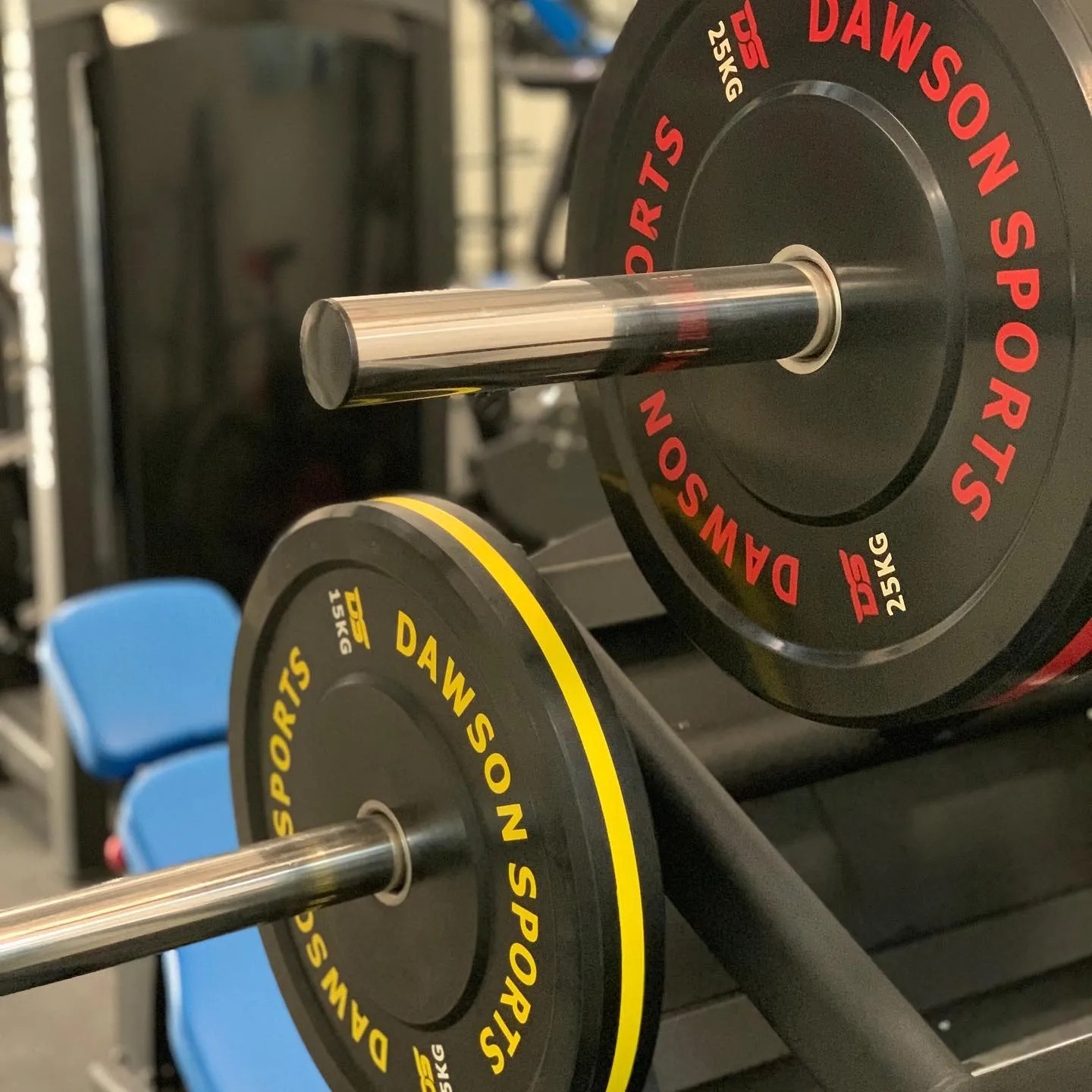 DS Rubber Bumper Plates (w/ upturned ring)