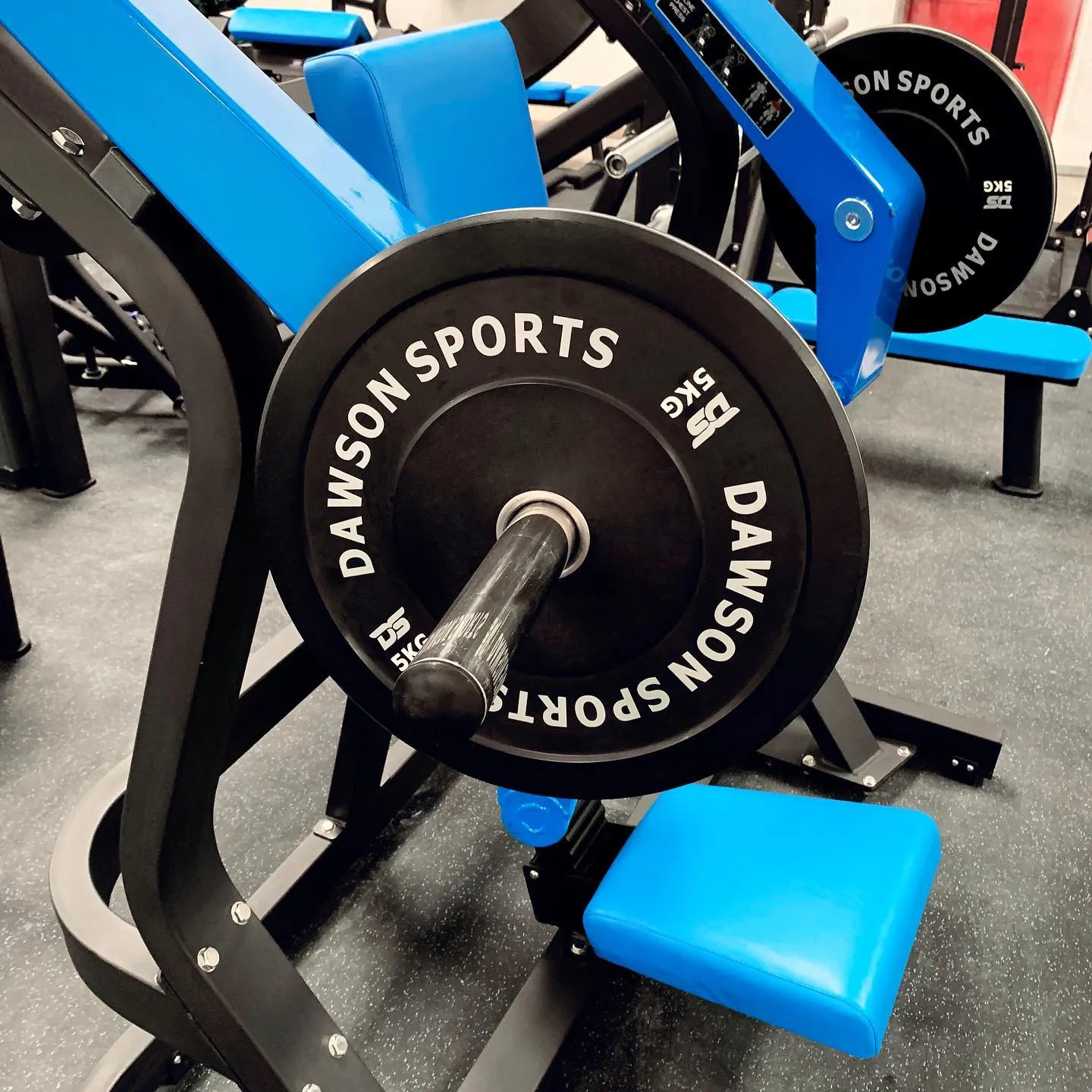 DS Rubber Bumper Plates (w/ upturned ring)