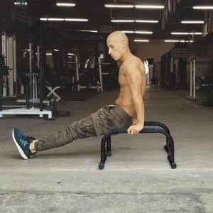Lebert Fitness - Frank Medrano Parallettes Push Up Bars
