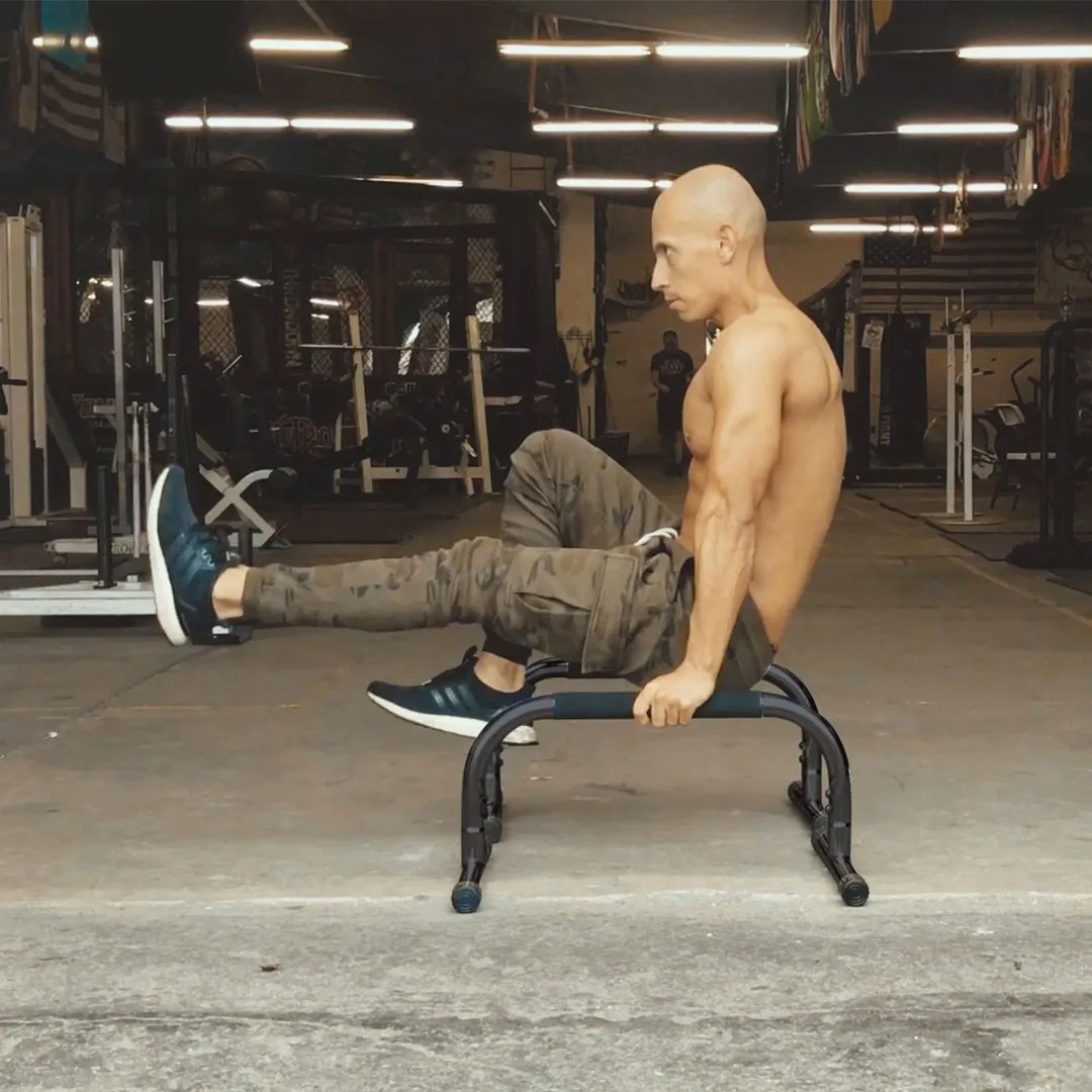 Lebert Fitness Parallettes Push Up "Frank Medrano" Series