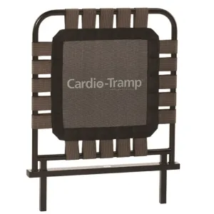 Merrithew At Home SPX Reformer - Cardio Tramp