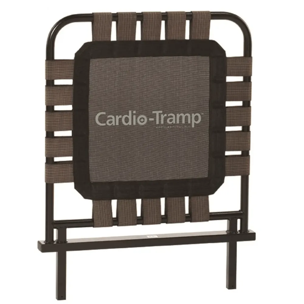 Merrithew At Home SPX Reformer - Cardio Tramp