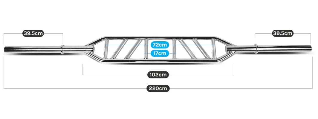 Olympic Swiss Bar w/ Lockjaw Collars
