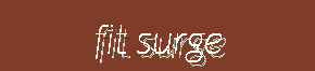 Fit Surge - Gear For Weight Training, Endurance & Functional Fitness